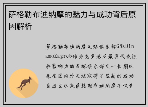 萨格勒布迪纳摩的魅力与成功背后原因解析