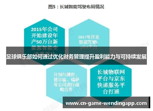 足球俱乐部如何通过优化财务管理提升盈利能力与可持续发展 足球俱乐部如何通过优化财务管理提升盈利能力与可持续发展