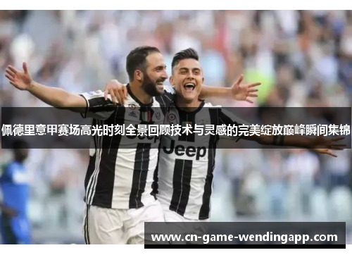 佩德里意甲赛场高光时刻全景回顾技术与灵感的完美绽放巅峰瞬间集锦